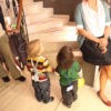 img_8770 img_8770