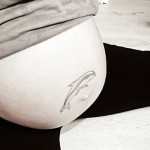 IMG_9953-2