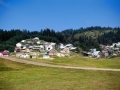 IMG_8581