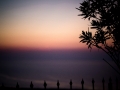 IMG-20180924-WA0034
